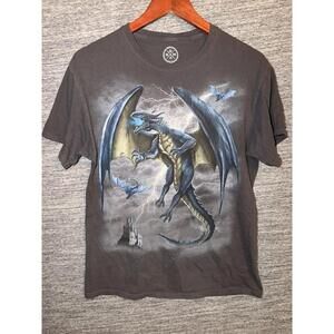 DOM It’s About The Art Dragon T-Shirt Gray Mens Medium M Fantasy Graphic Y2K